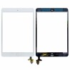 TOUCH DIGITIZER FOR IPAD 2 / 3 / 4 / IPAD AIR / IPAD MINI / MINI 2 + OUTILS