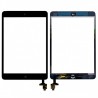 TOUCH DIGITIZER FOR IPAD 2 / 3 / 4 / IPAD AIR / IPAD MINI / MINI 2 + OUTILS